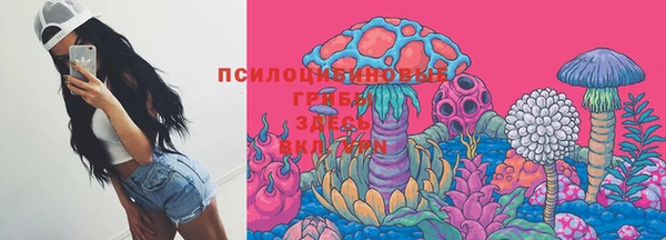 марки nbome Бородино